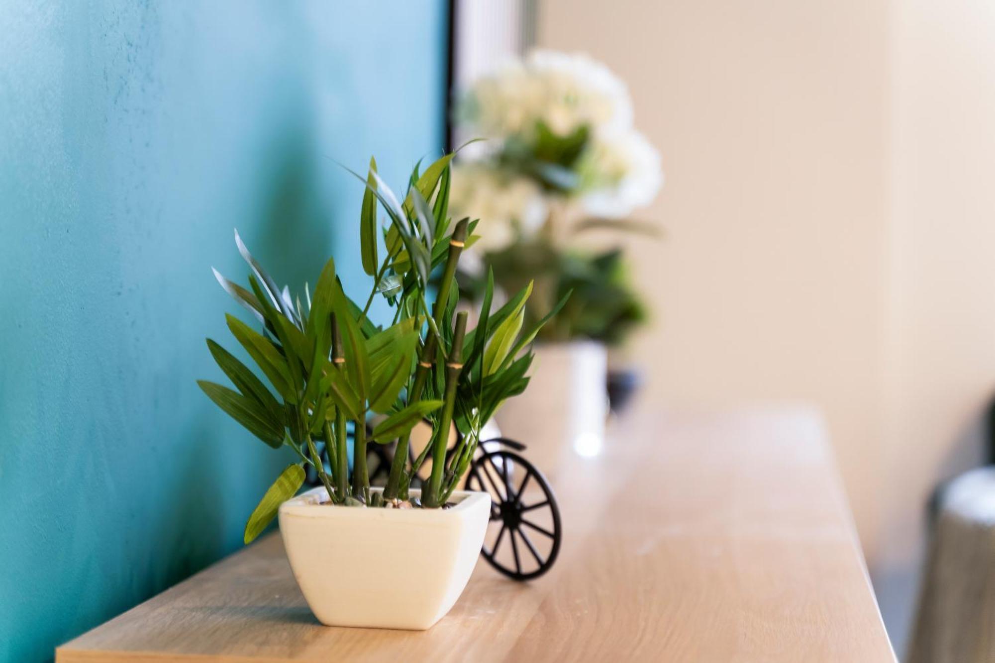Evergreen Haven - Central 2Br - Free Parking W High Speed Wifi برمنغهام المظهر الخارجي الصورة